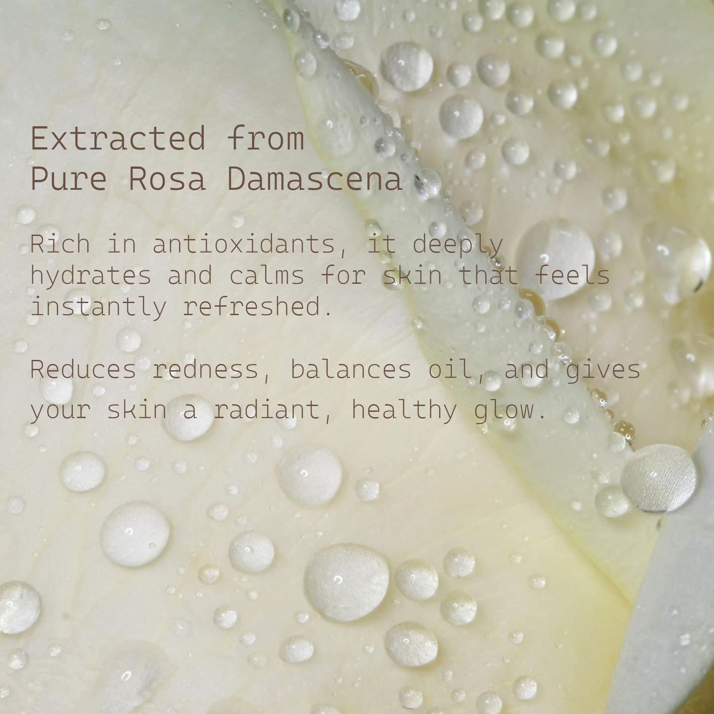 Instant Hydration Rose Mist